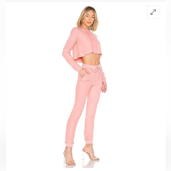 Danielle Guizio x Revolve Blush Pink Cropped Hoodie Sweatshirt Top XS - Picture 3 of 5